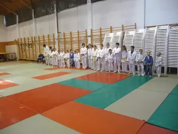 Judo képek