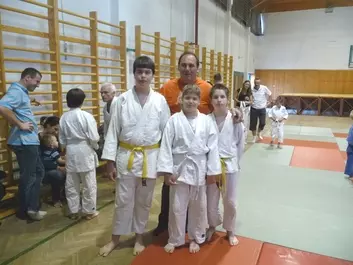 Judo képek