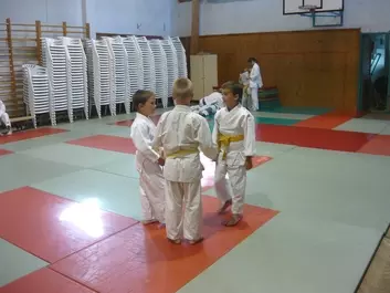 Judo képek