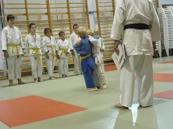 Judo képek