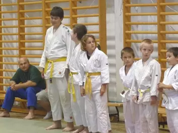 Judo képek