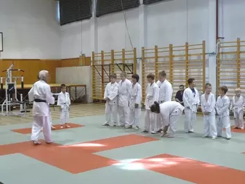 Judo képek