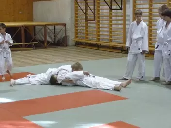 Judo képek