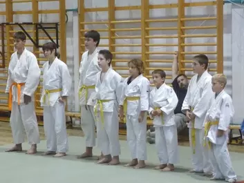 Judo képek