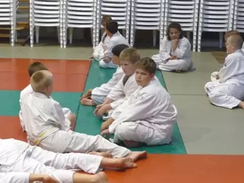 Judo képek