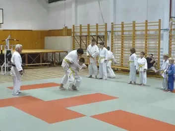 Judo képek
