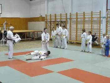 Judo képek