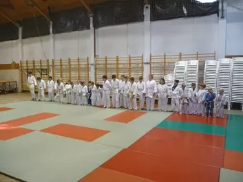 Judo képek